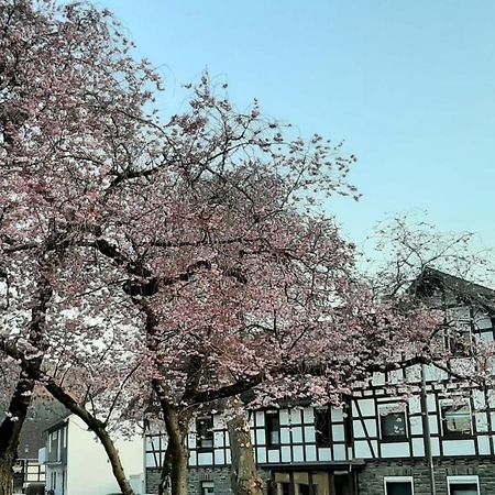 Vivanatura Eifelferienhaus Einruhr Exteriér fotografie