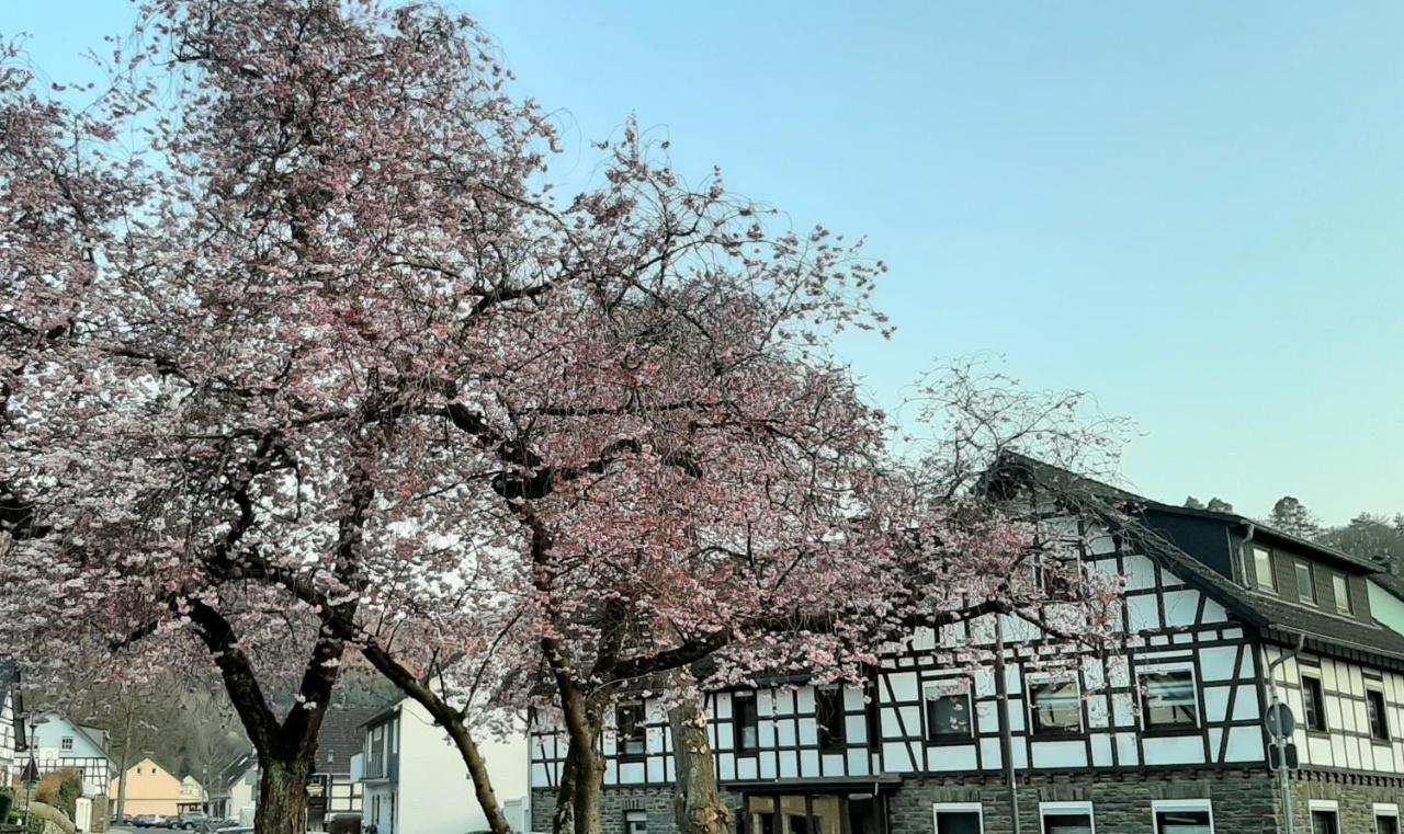 Vivanatura Eifelferienhaus Einruhr Exteriér fotografie