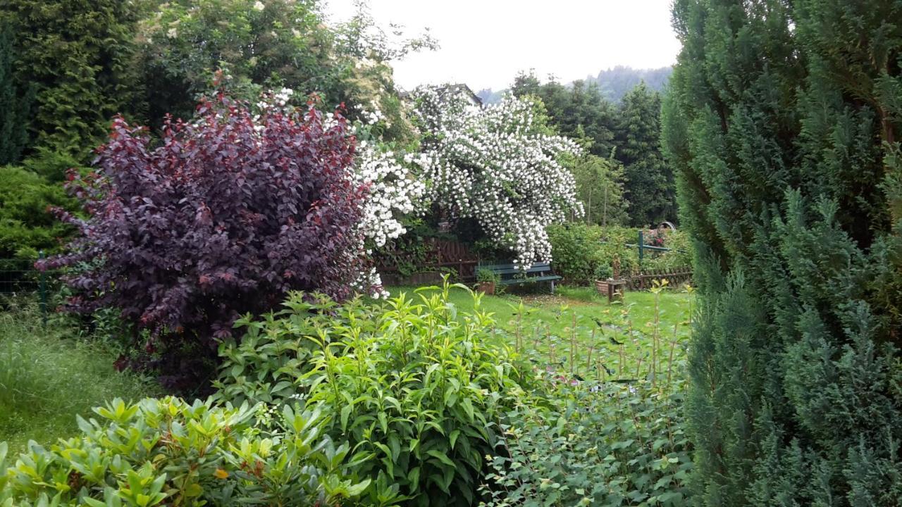 Vivanatura Eifelferienhaus Einruhr Exteriér fotografie
